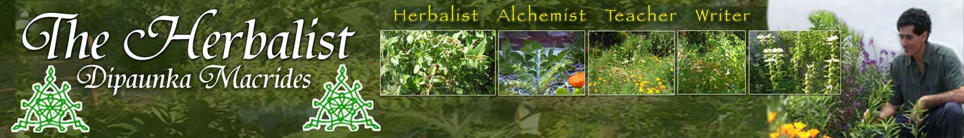 The Herbalist - theherbalist.com.au - Dipaunka Macrides