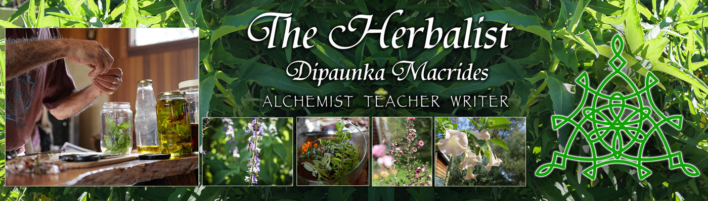 The Herbalist - theherbalist.com.au - Dipaunka Macrides